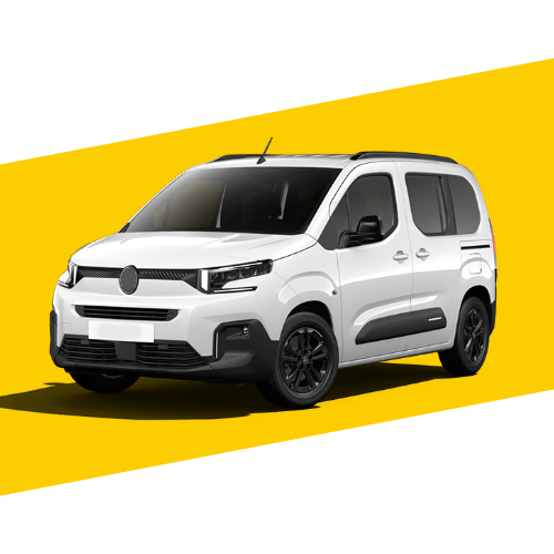 BERLINGO (2019 ACTUEL) Lunette En Hayon Et En 2 Portes Ouvrantes Possible